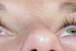 Pandoras Lashes