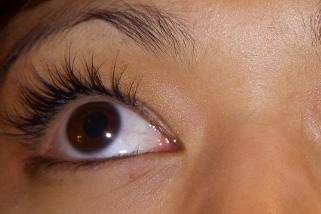Pandoras Lashes