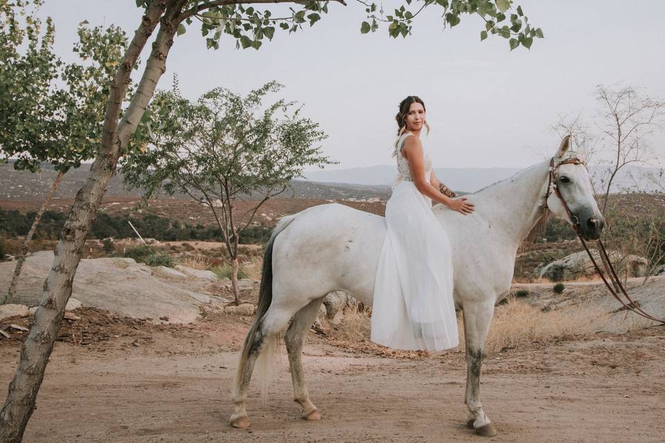 Bride on white horse