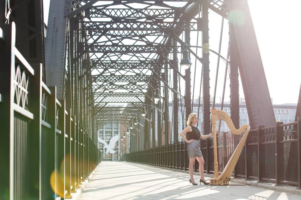 Sound of Elegance Harpist