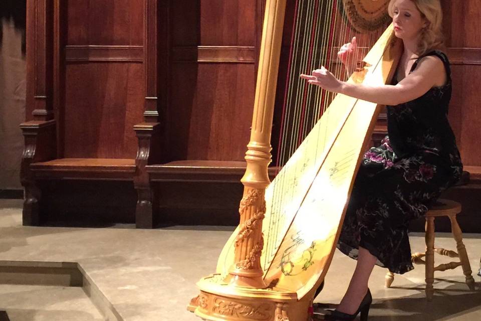 Sound of Elegance Harpist