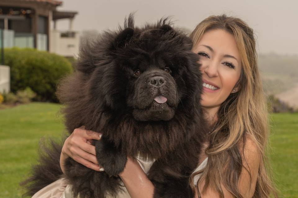 Bride with dog The Ritz Bacara