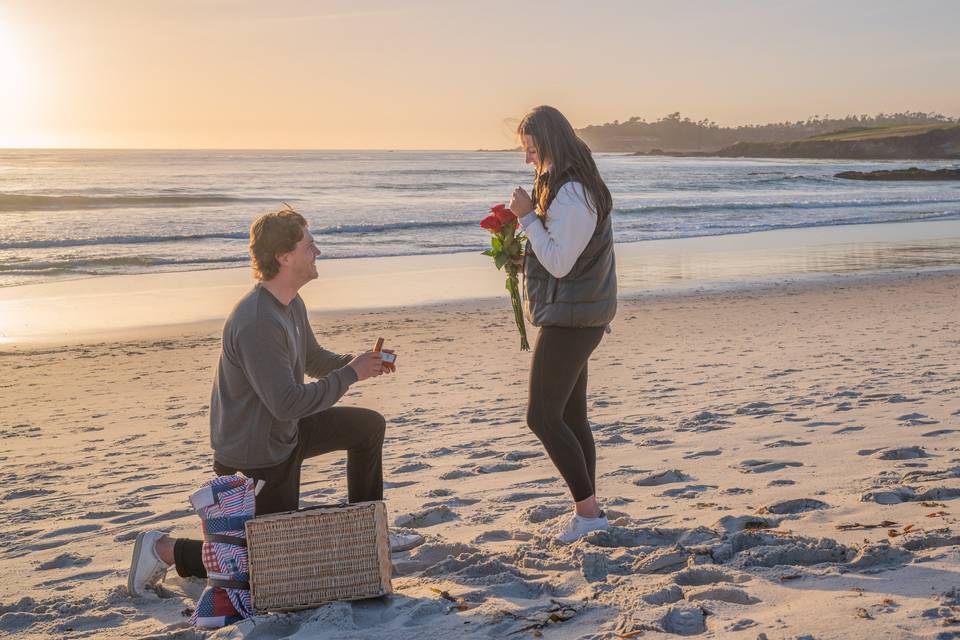Carmel Beach Proposal