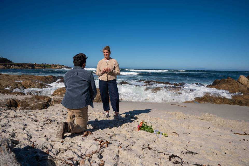 Fan Shell beach Proposal