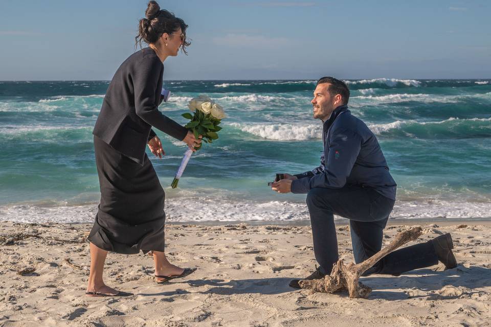 Fan Shell Beach Proposal