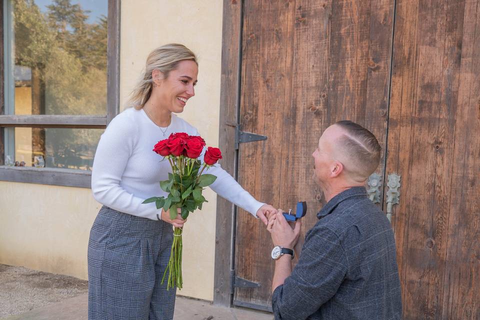 Kaena Winery Proposal