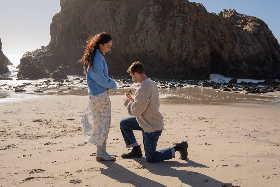 Pfieffer Beach Proposal