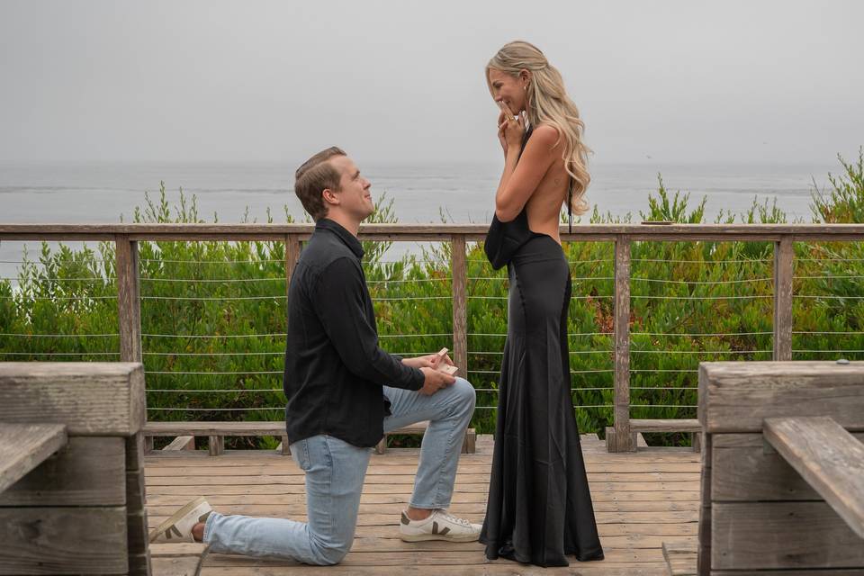 Carmel Proposal (Influencer)