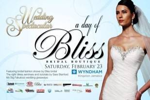 BLISS BRIDAL BOUTIQUE - Rent a brand new wedding dress in Jamaica!