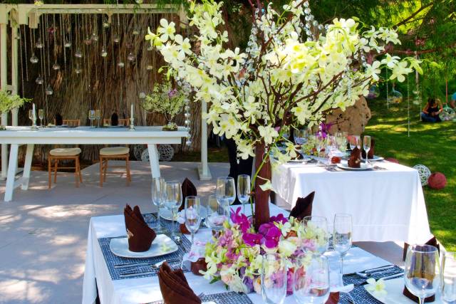 Champagne Events Mexico