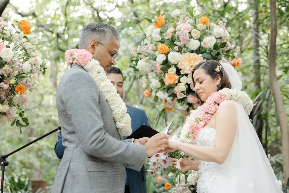 Ashley & Daniel