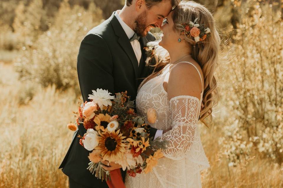 Sunflower day dreams