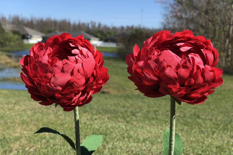 Giant peonies