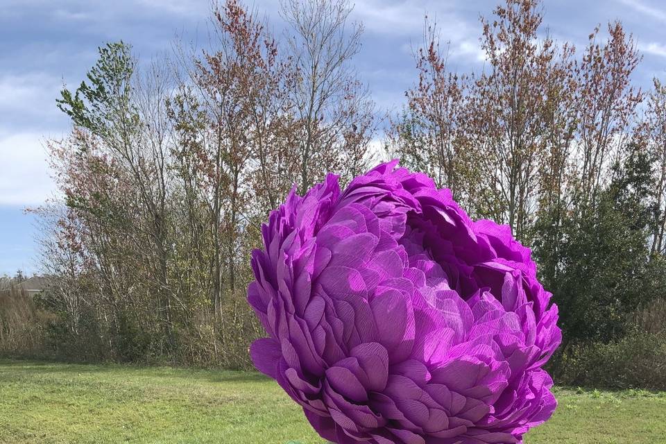 Giant peonies