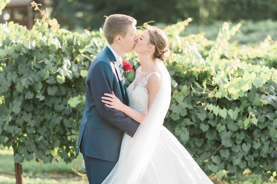 Maggie Mills Photography