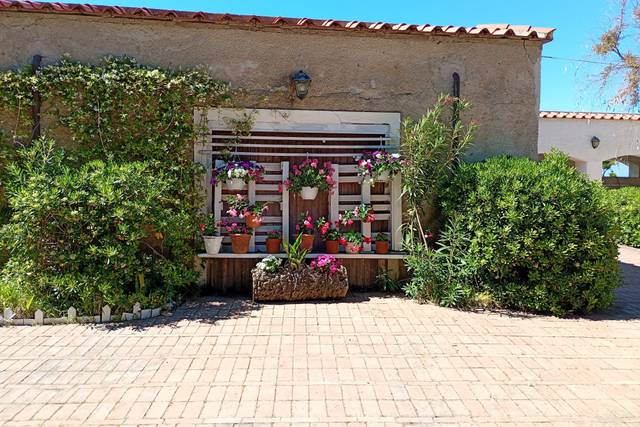 Tenuta Punta Licosa del Principe di Belmonte