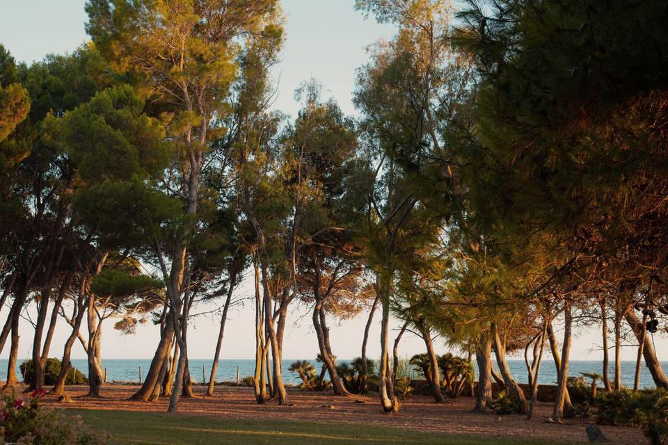 Islet 'Leucosia'