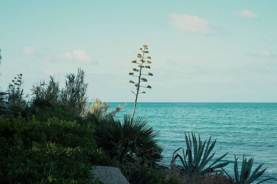 Villa Sirena & coastline
