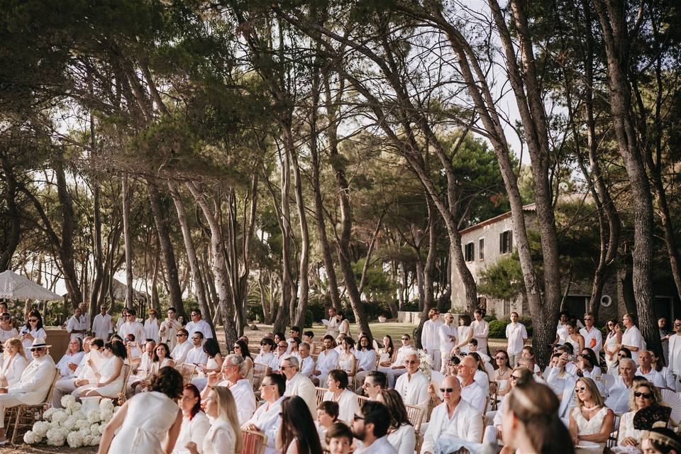 Civil Ceremony under Pinetrees