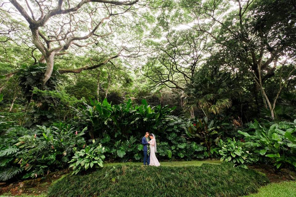 Waimea Valley