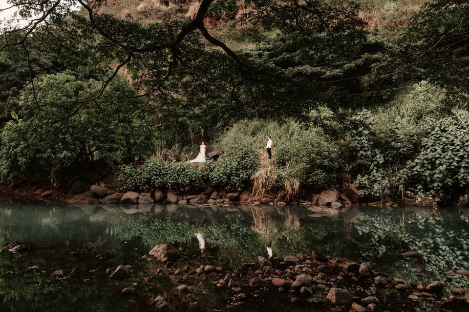 Waimea Valley