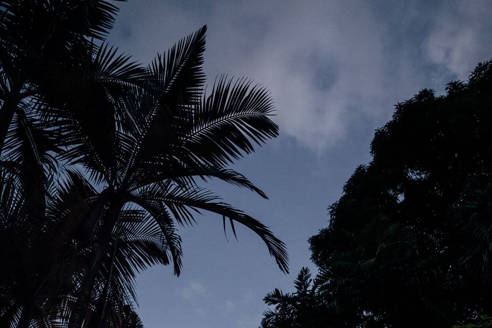 Waimea Valley