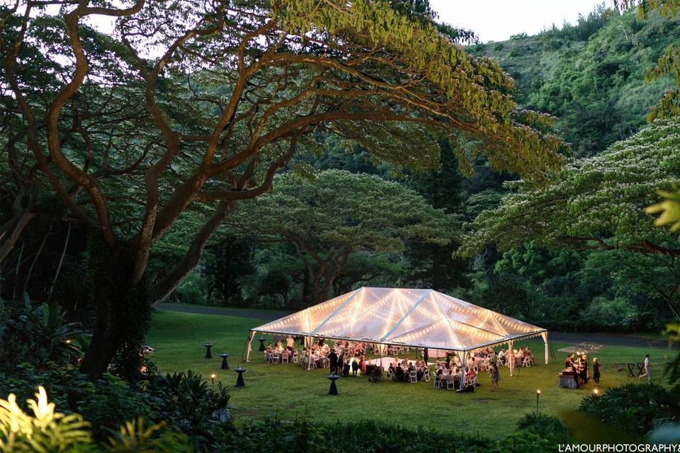 Waimea Valley