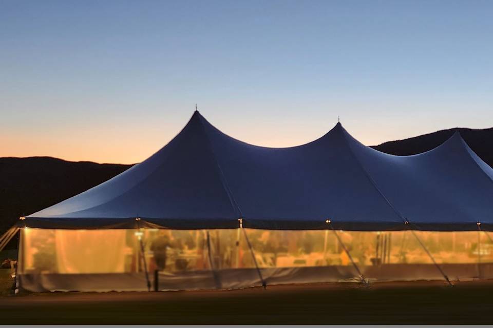 Reception mountain backdrop