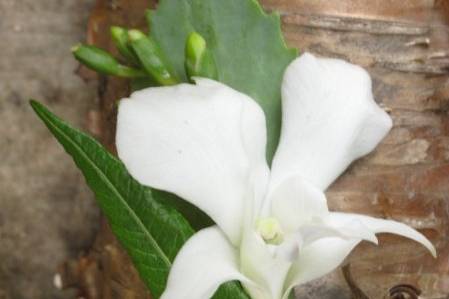 White Orchid boutonniere