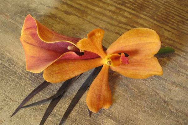 orange orchid boutonniere