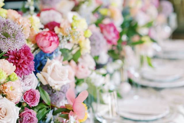 Danielle Defayette Photography