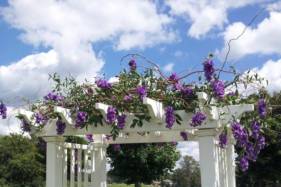 False Wisteria Arbor