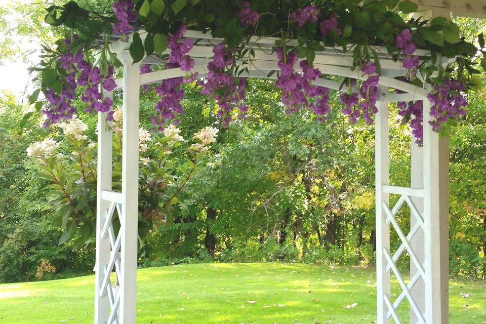 False Wisteria Under the Pavilion