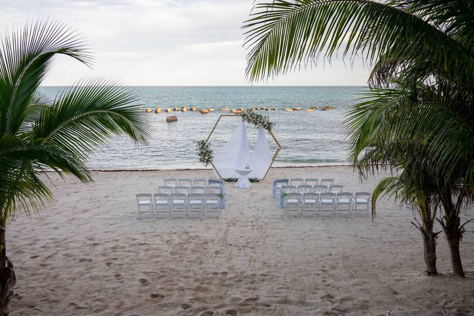 Beach Wedding