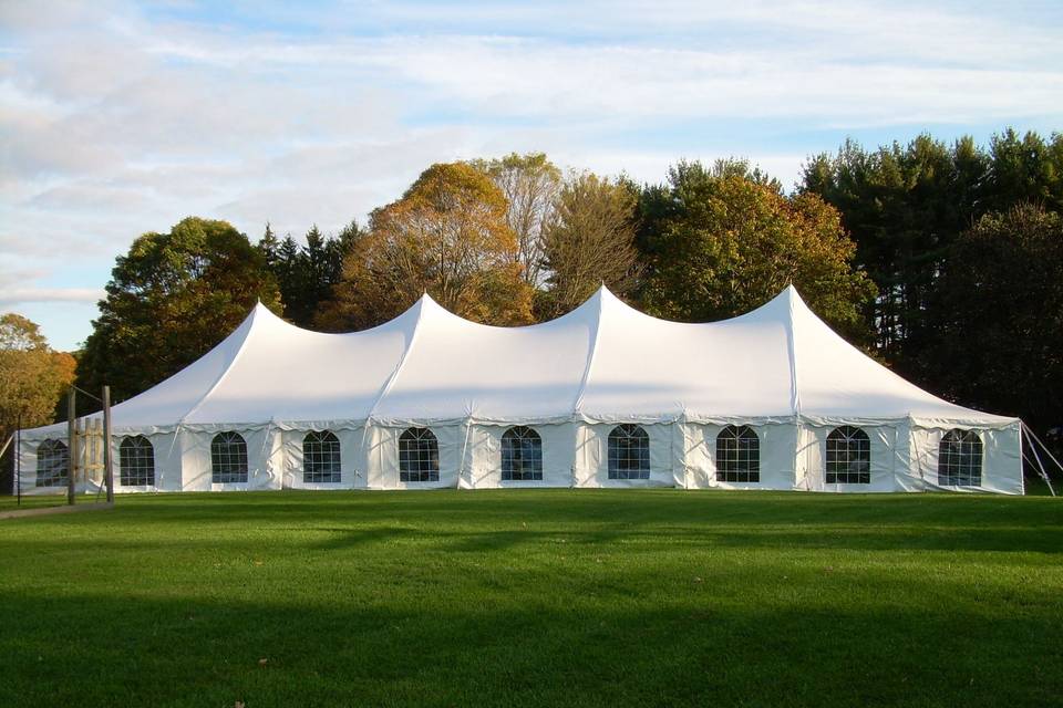 40' x 100' Pole Tent