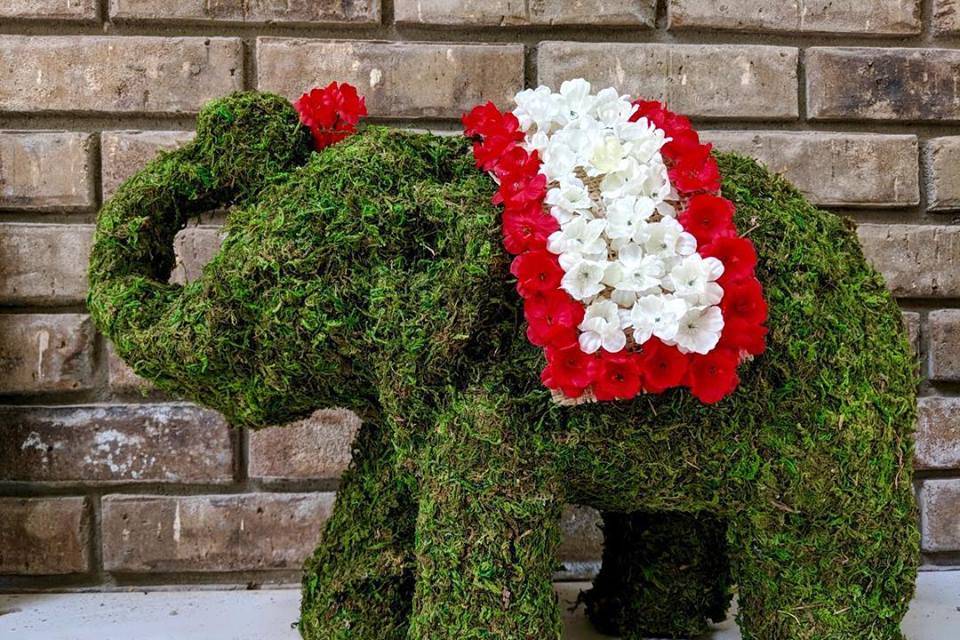 Floral elephant decor
