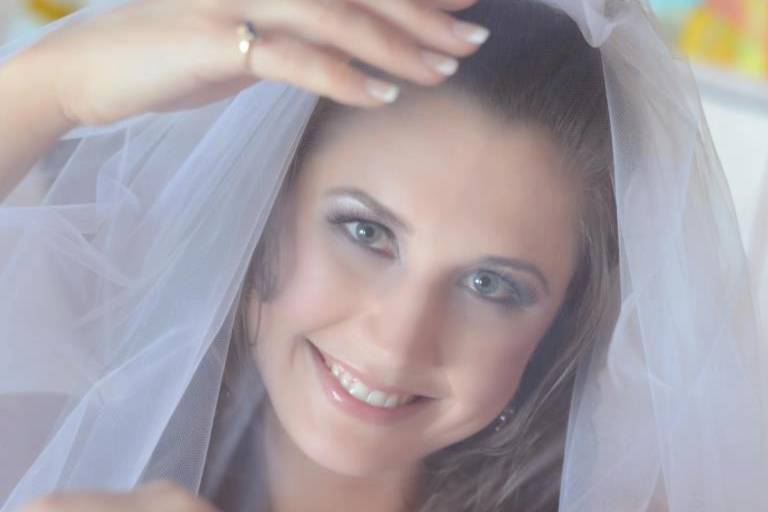 Professional Elegance On-Location Wedding Hair and M.A.C. Make-Up/ Airbrush Application