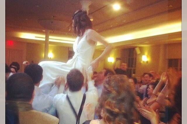 Wedding Reception