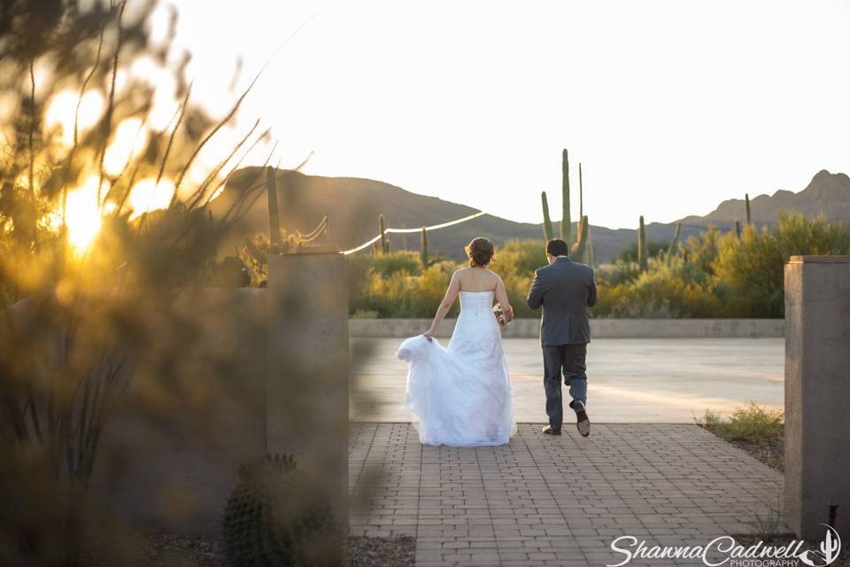 Bridal portraits