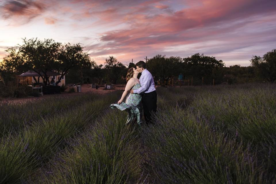 Lavender Field Engagement