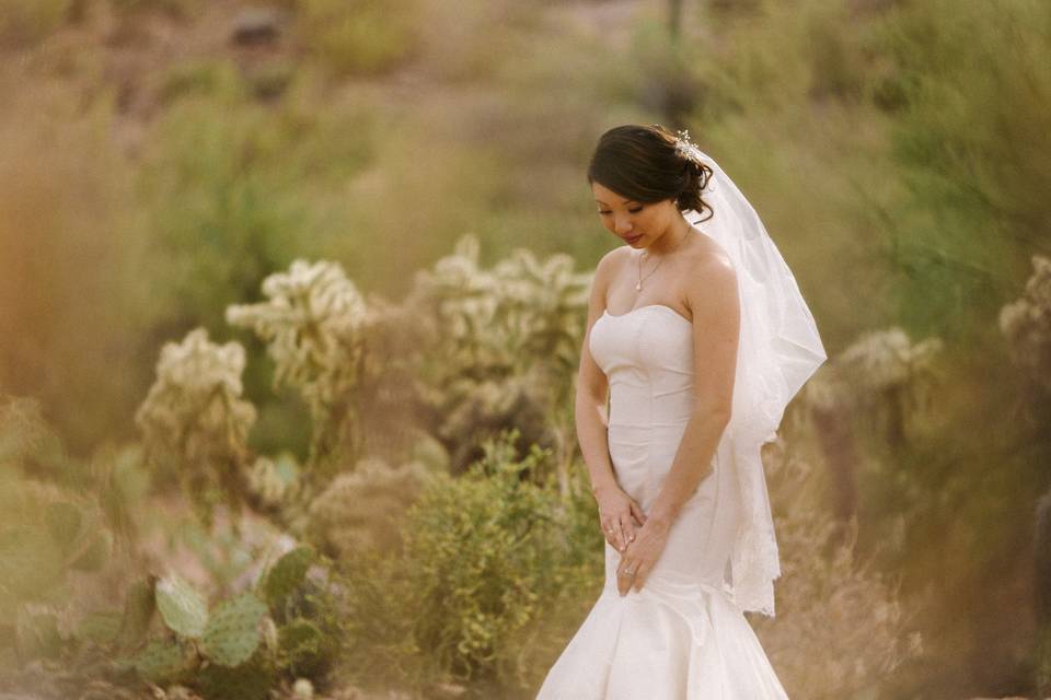 Bridal Portraits