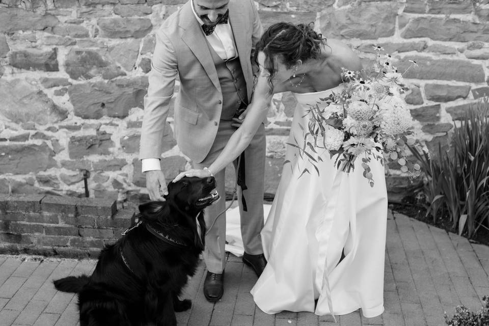 Bride and groom eith dog