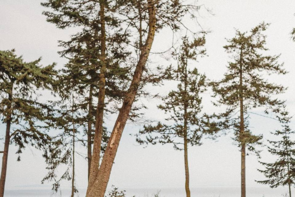 Beautiful ceremony setting!