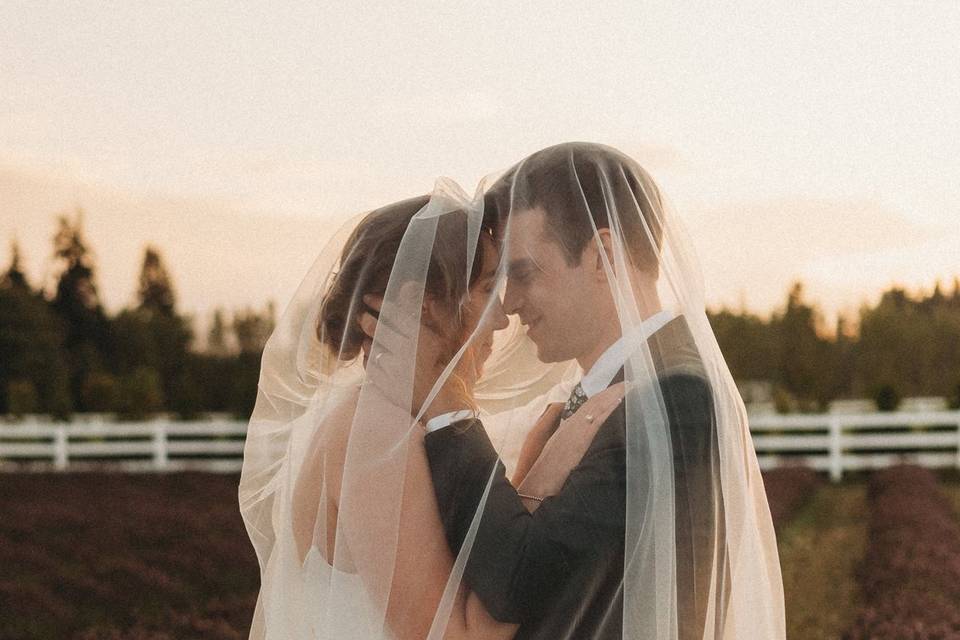 Golden hour veil shot