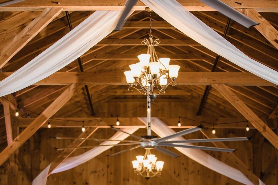 C&J Wedding