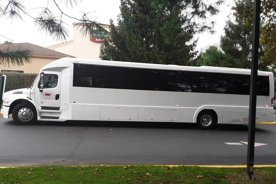 49 Passenger Luxury Coach