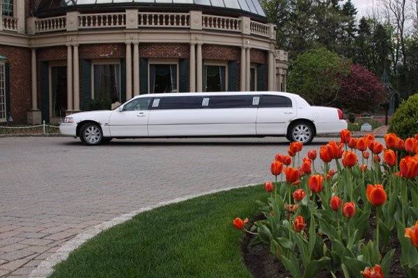 The perfect White Stretch Limousine ideal for the Bride and Groom with Red Carpet Service.