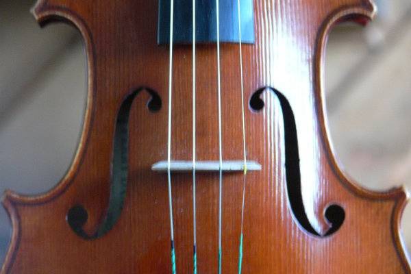 Close up of violin