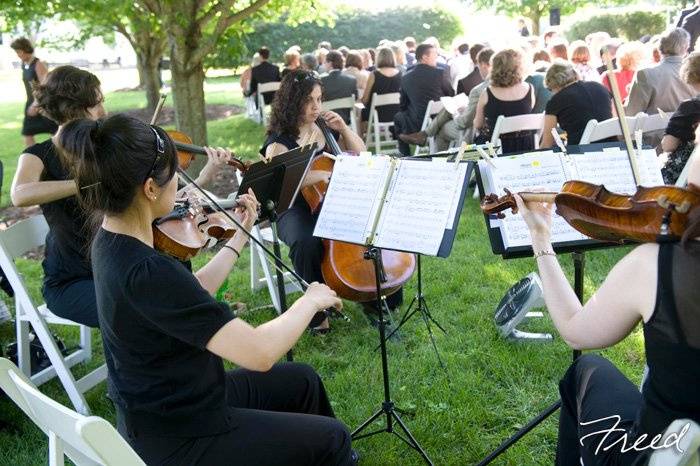 Perfect Harmony String Ensemble