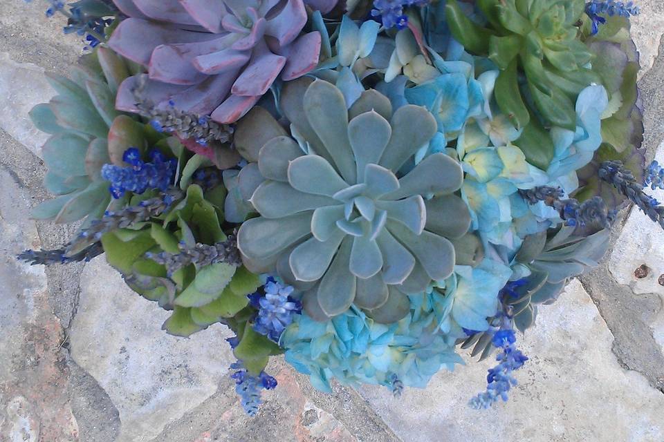 Succulent bouquet